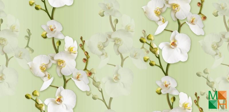 Giấy dán tường họa tiết hoa lá thi công tại Hoàng Văn Thụ, Hoàng Mai, Hà Nội 88102-4 Giấy dán tường họa tiết hoa lá thi công tại Hoàng Văn Thụ, Hoàng Mai, Hà Nội 88102-4