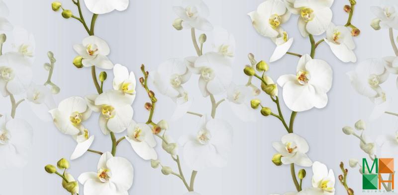 Giấy dán tường họa tiết hoa lá thi công tại Hoàng Liệt, Hoàng Mai, Hà Nội 88102-3 Giấy dán tường họa tiết hoa lá thi công tại Hoàng Liệt, Hoàng Mai, Hà Nội 88102-3